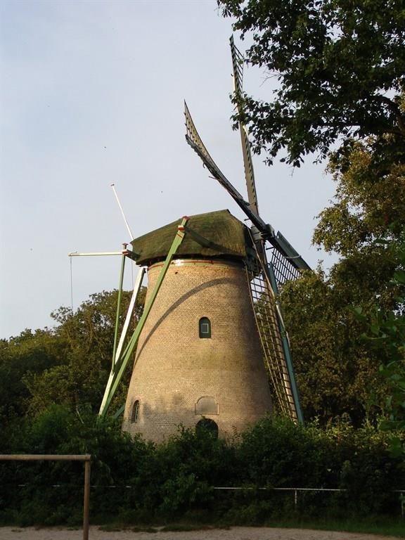 Korenmolen Kijkduin