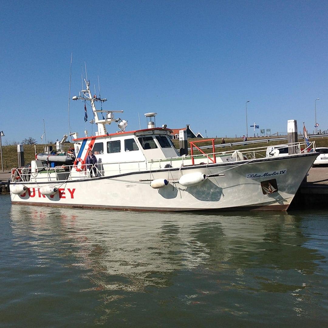 Robbenfahrten mit Blue Marlin IV