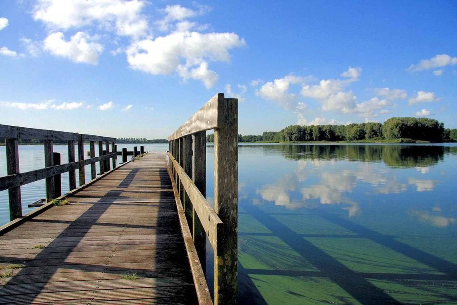 Stijger bij Geestmerambacht 