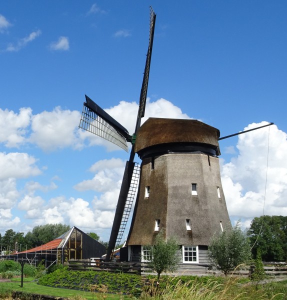 De Twuyvermolen zijaanzicht 