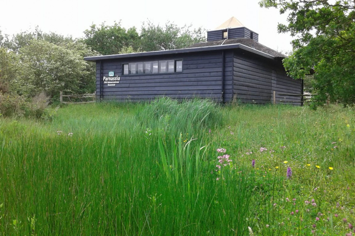 Het Parnassiapark