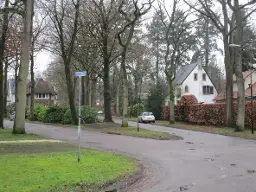 Stadswandeling Wijk Berg en Bos