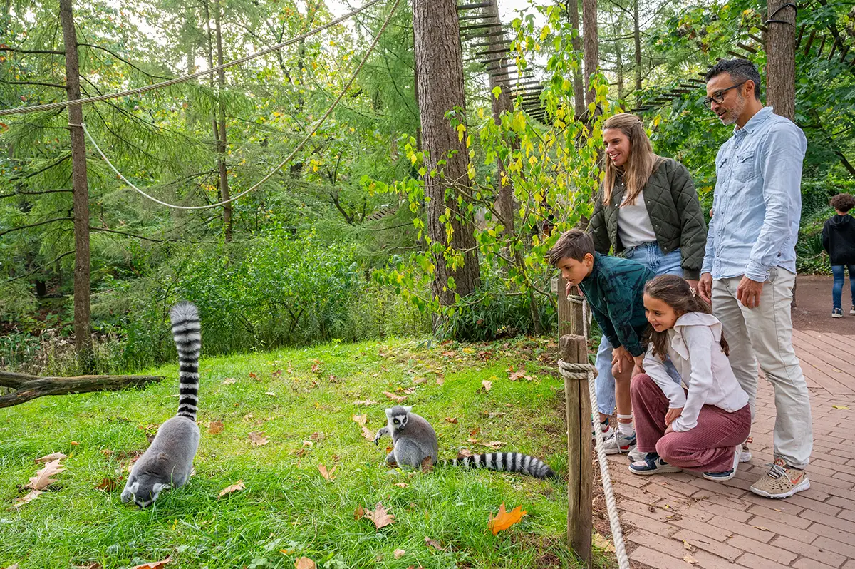 Paasontbijt in Apenheul