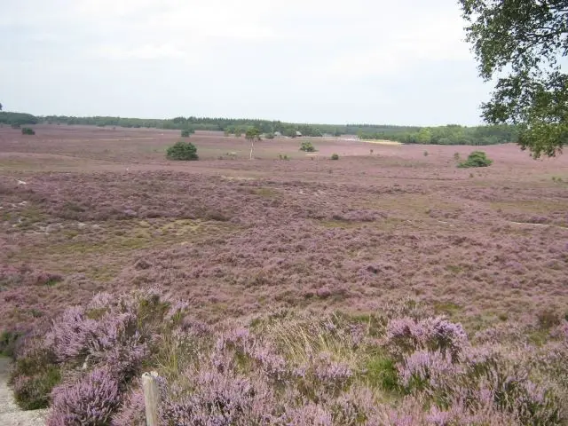 Fietstocht Renderklippen