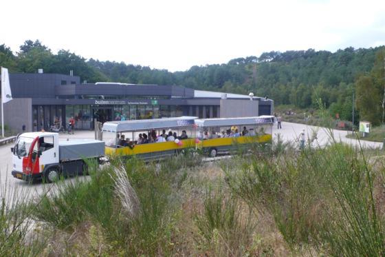 Zonnetrein door de  Schoorlse Duinen