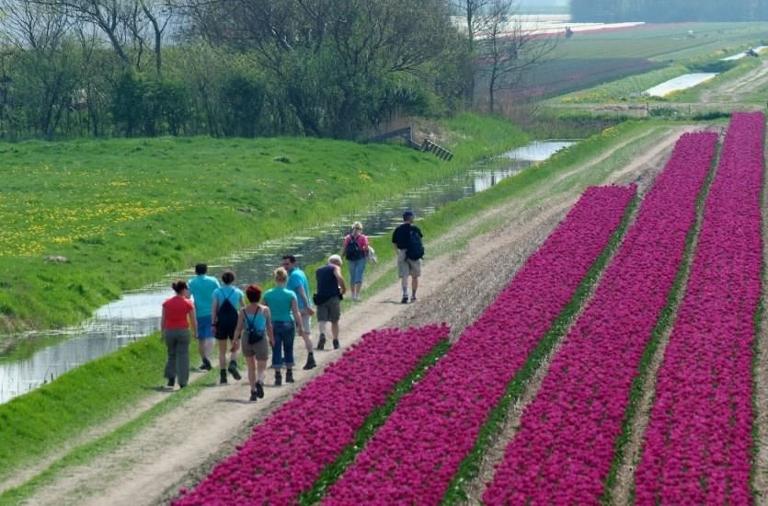 Bloeiend Zijpe