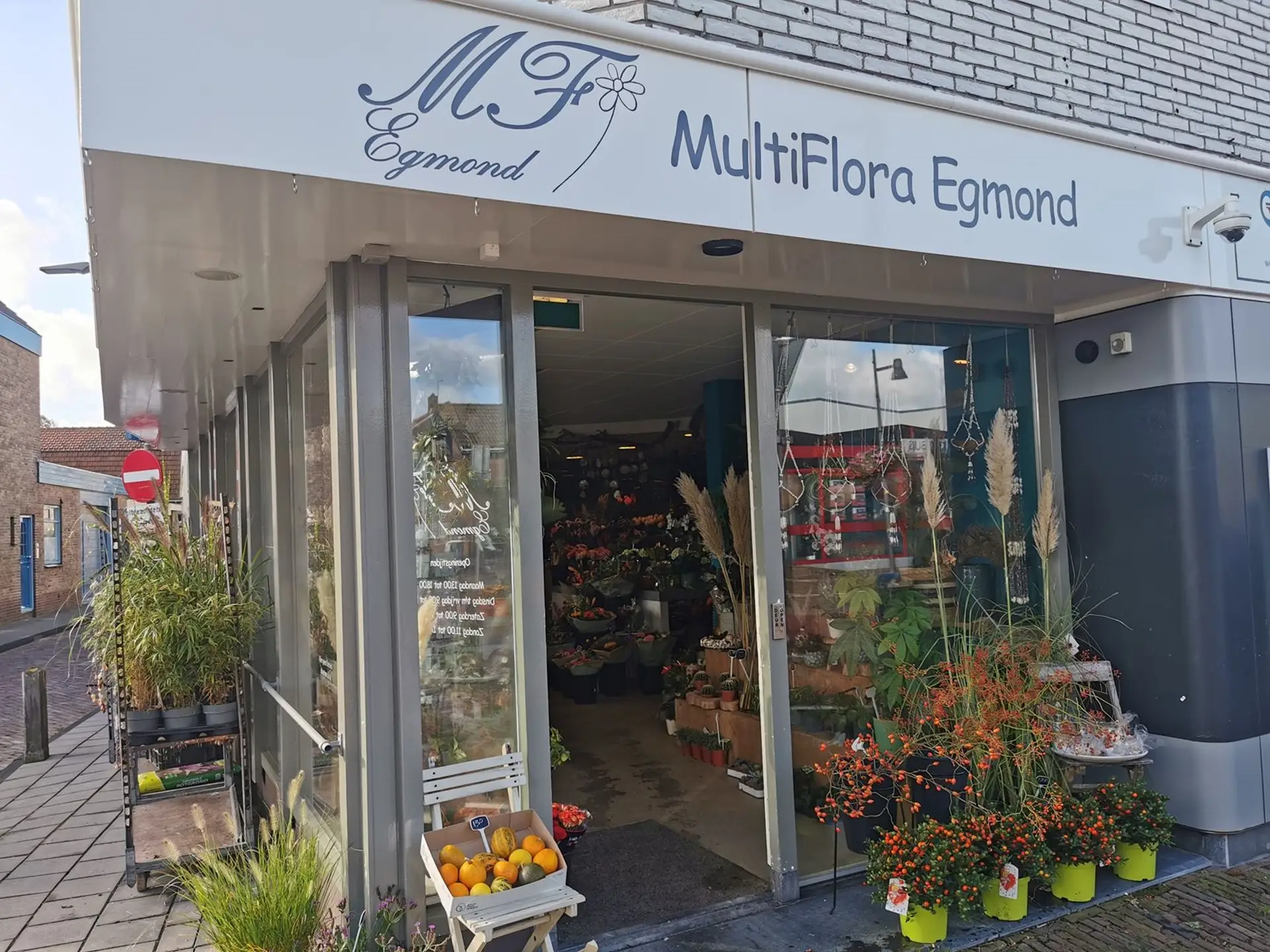 Multiflora Egmond