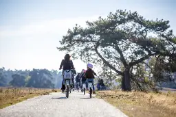 Fietsexcursie naar exclusieve wildobservatie