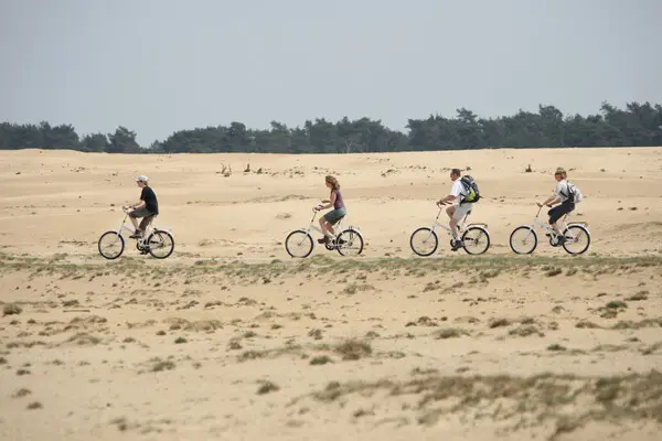 Fietssafari op de Hoge Veluwe