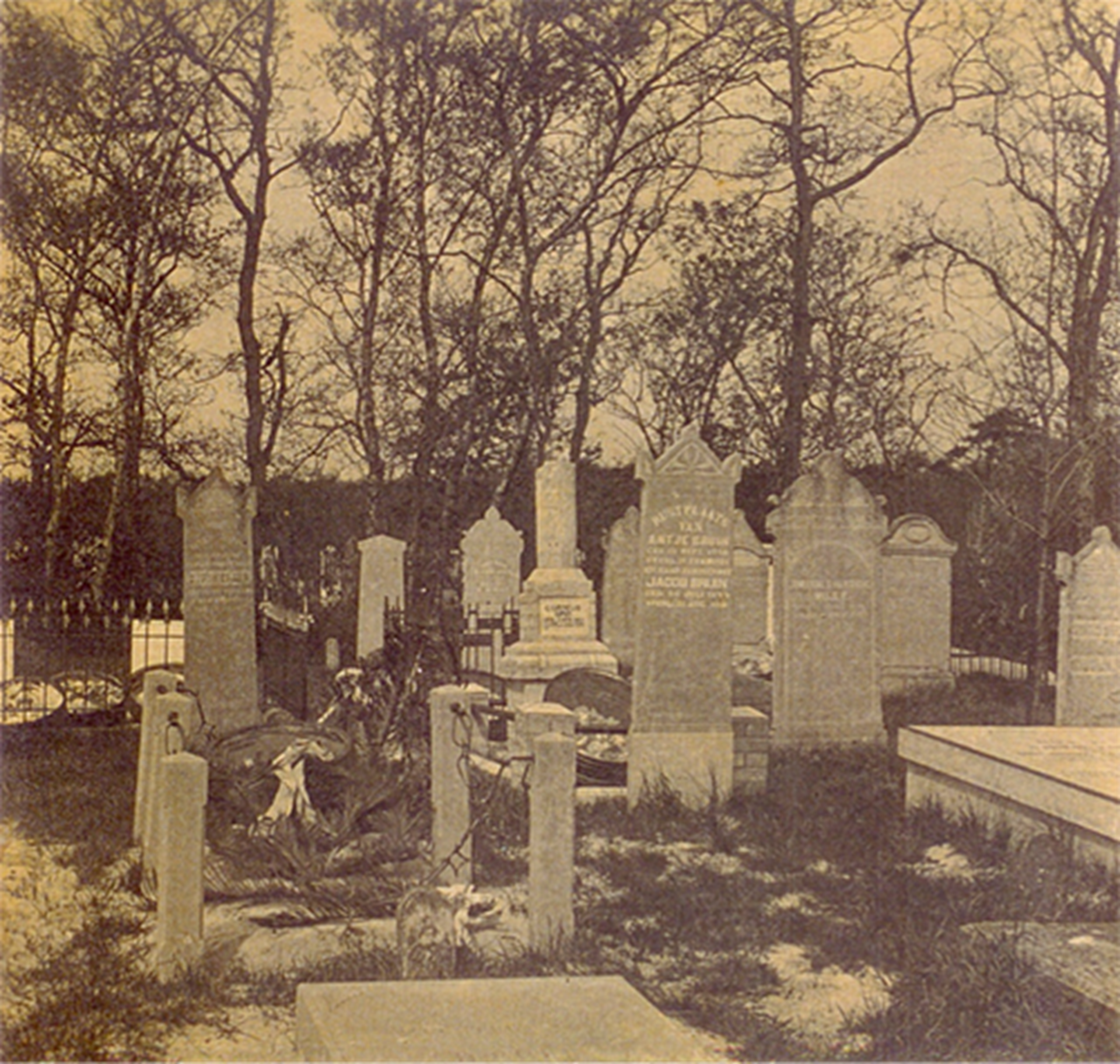 Oude Begraafplaats Bergen