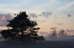 Ontwaken in het wilde hart van Nederland