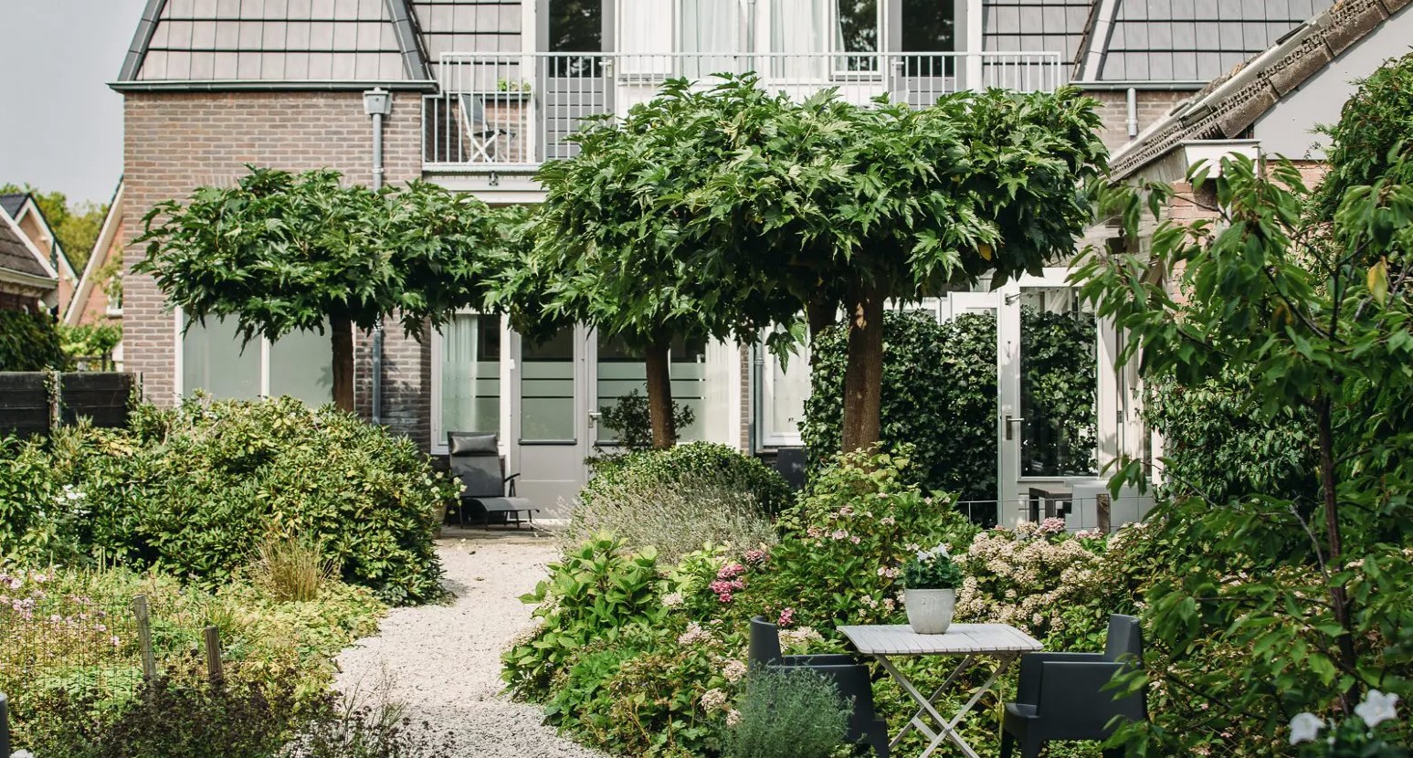 Kranenbergh Boutique Apartments