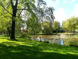 Herfstwandeling Mheenpark