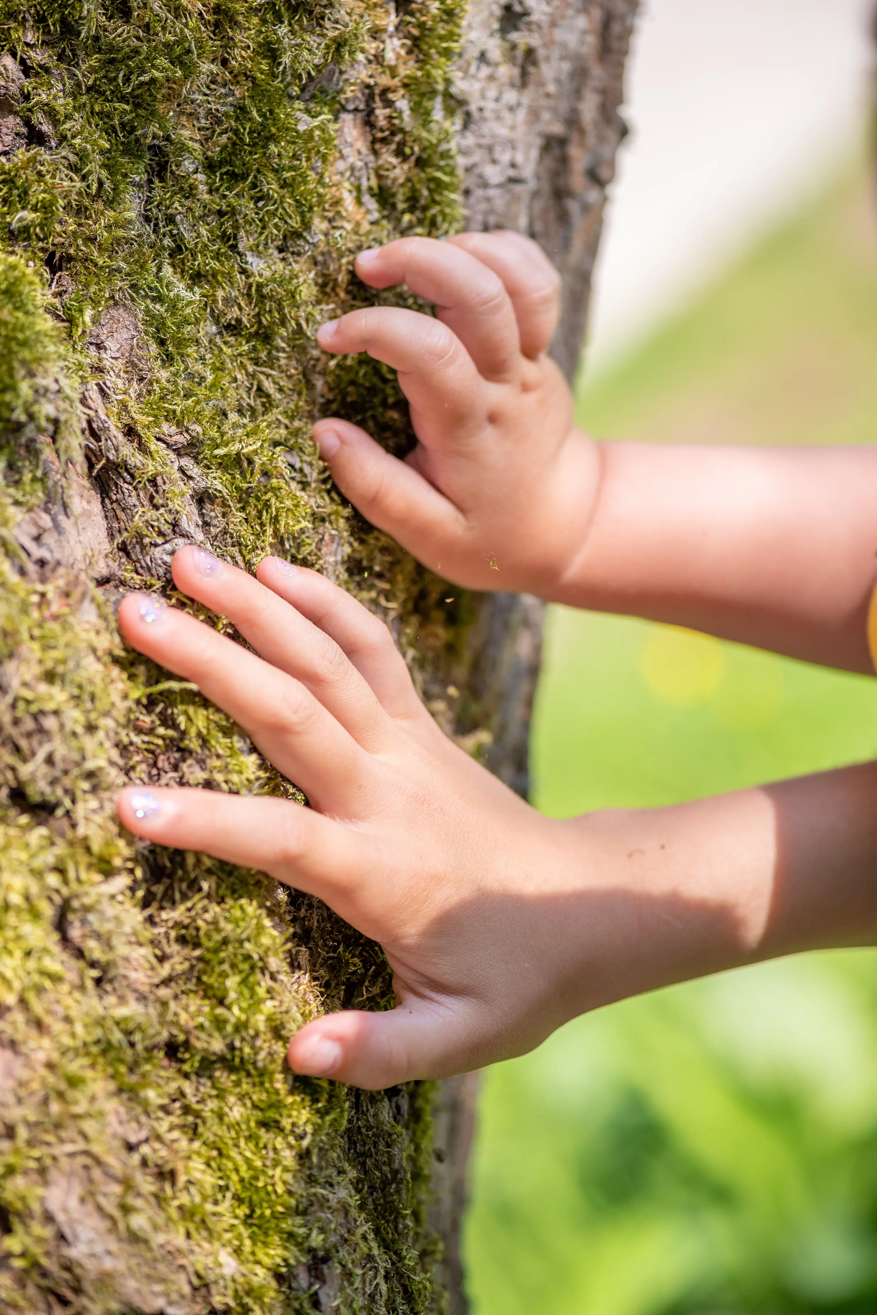 Van Boom tot Bos dag Staatsbosbeheer