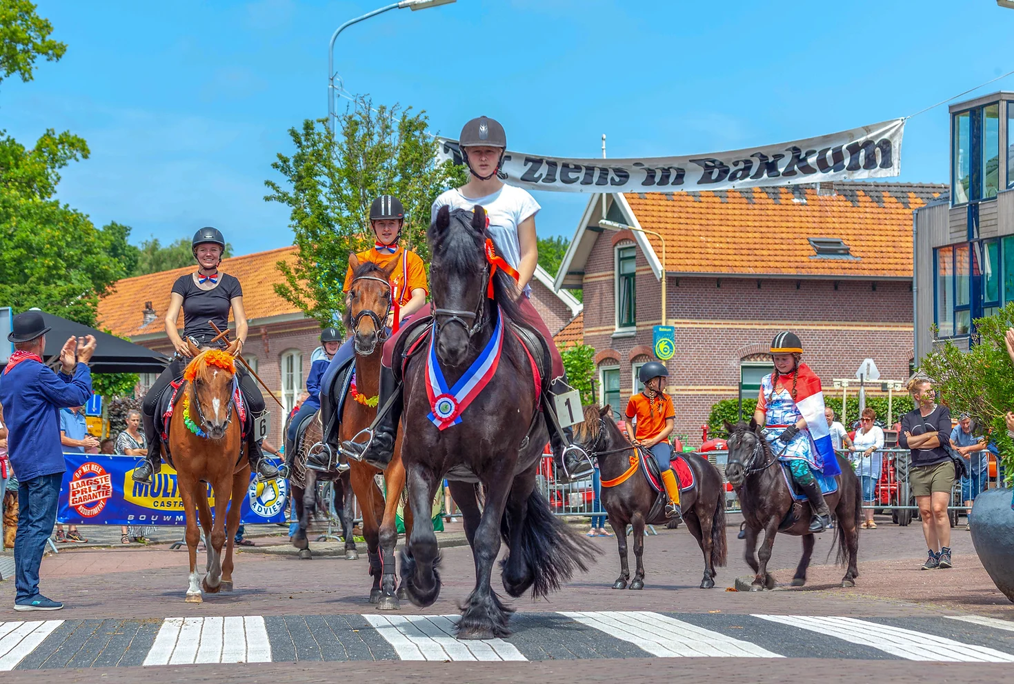 Paarden in Bakkum