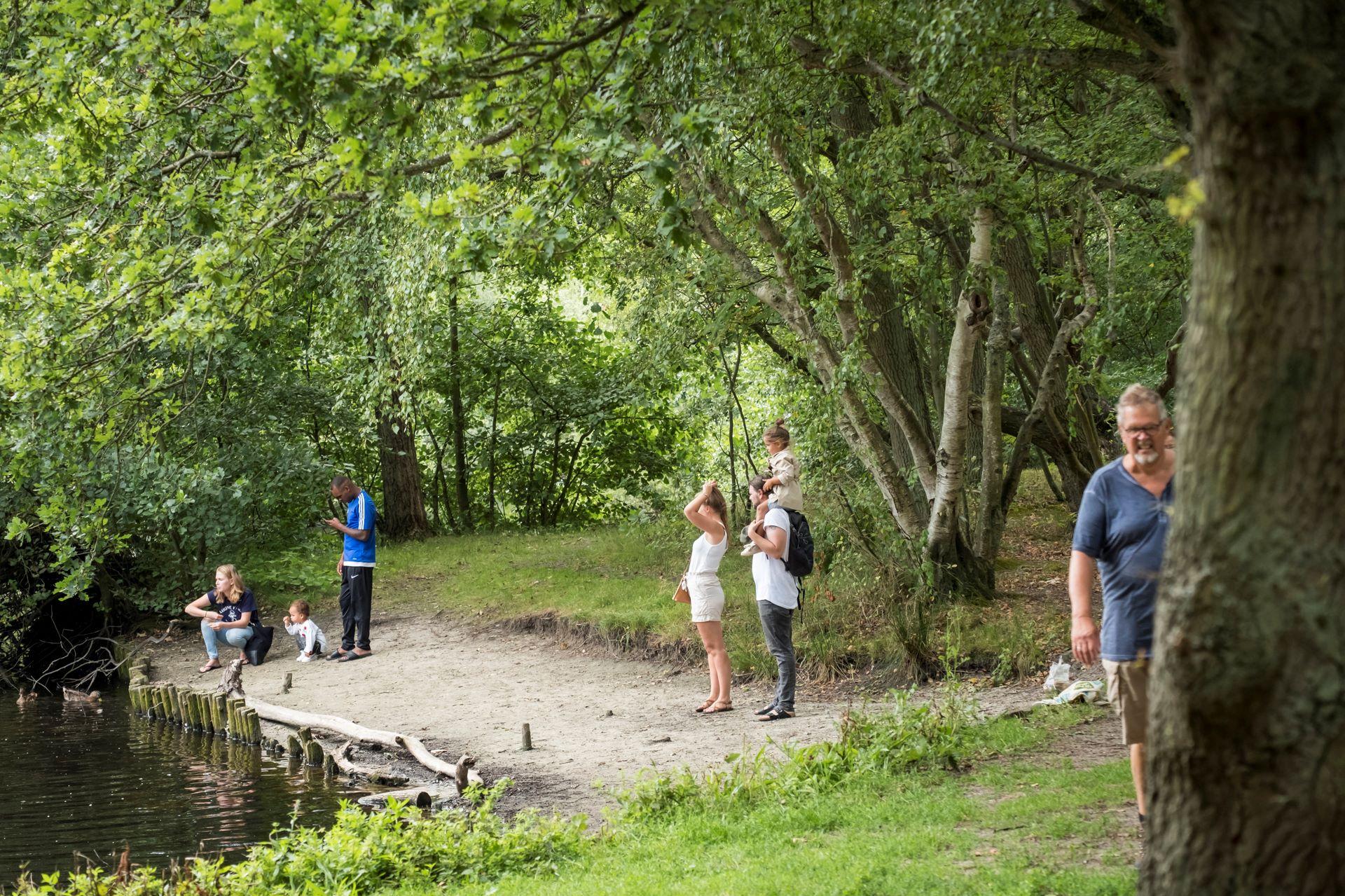 Bos De Donkere Duinen