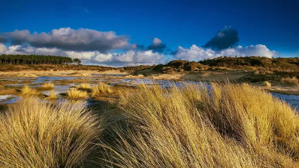 Nationaal Park Zuid-Kennemerland