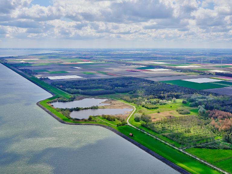 Festival Gat in de Dijk