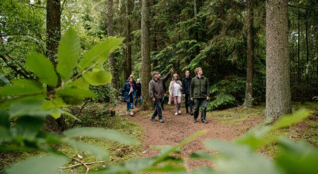 Speuren naar vleermuizen in het Robbenoordbos