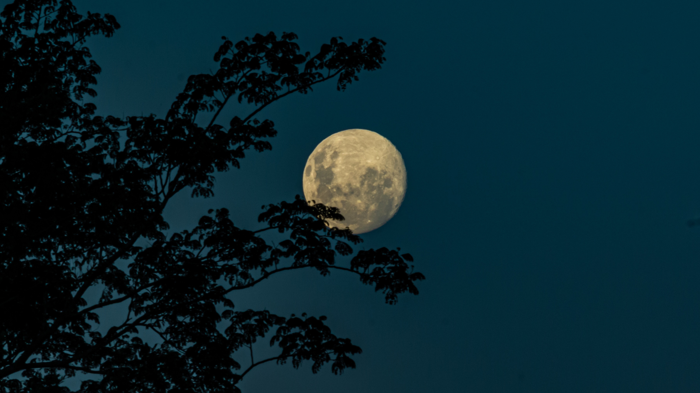 Volle maan wandeling 