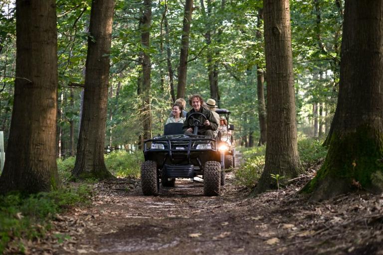 Safari Veluwe