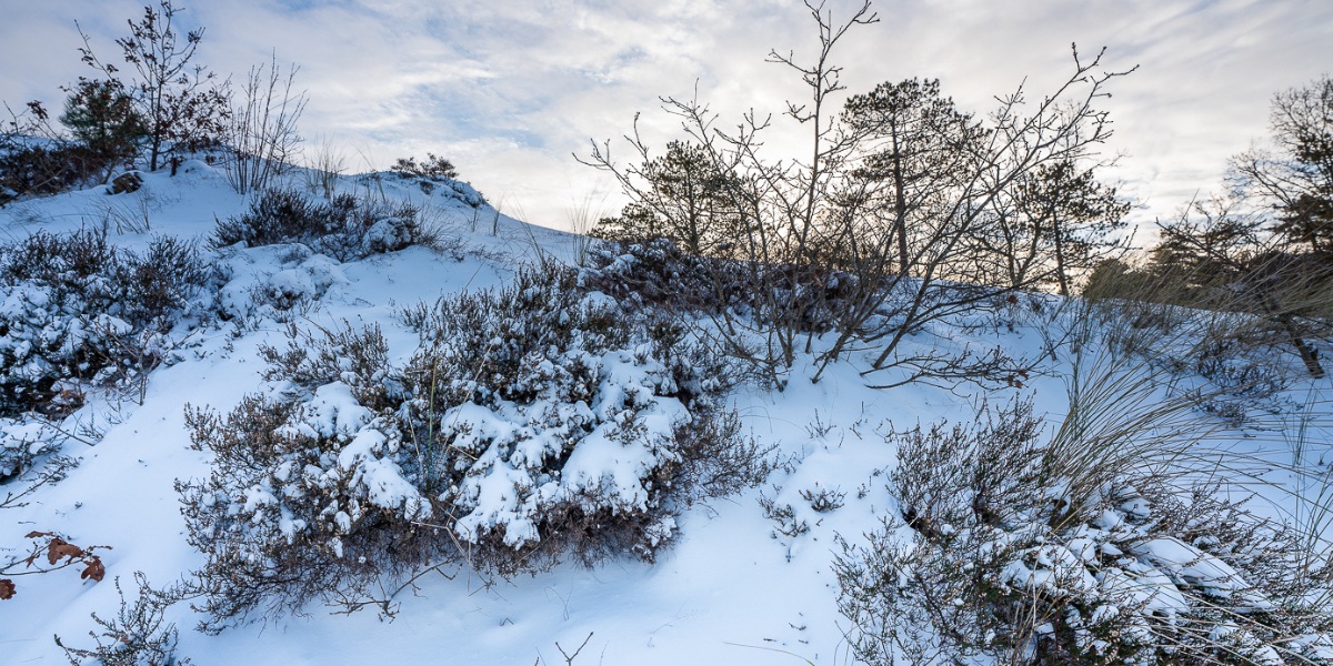 Lichtjeswandeling Schoorlse Duinen