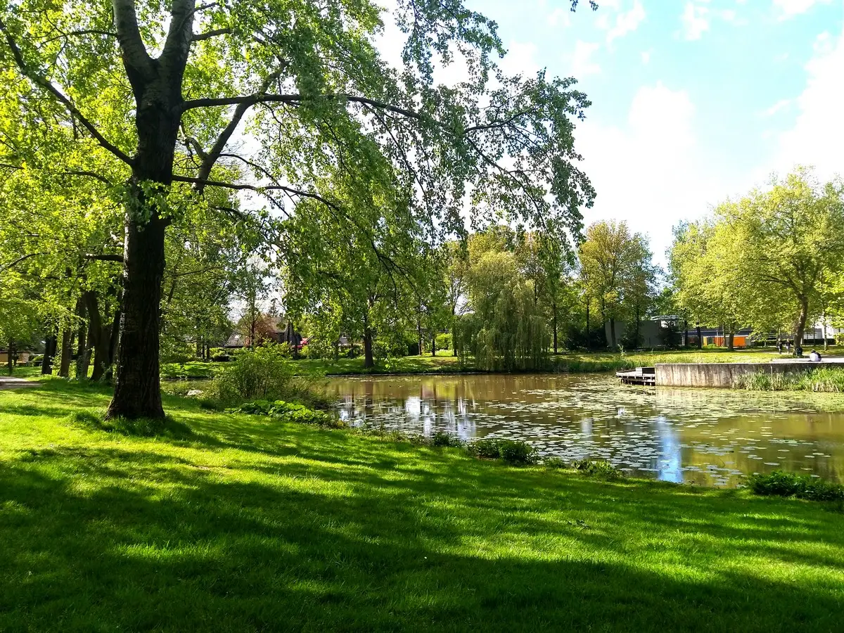 IVN Zomeravondwandeling Mheenpark