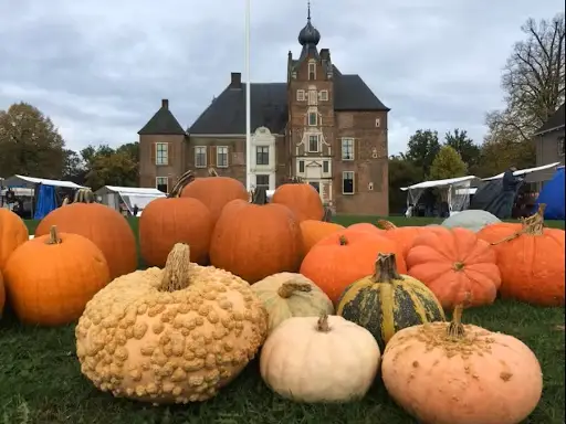 Uit in Apeldoorn:Herfstpracht markt