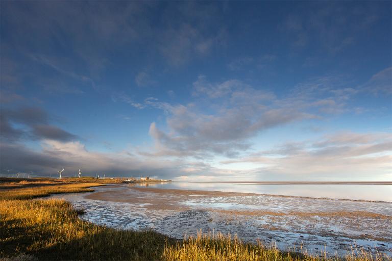 Komt de vogeltrek bij het Wad van Balgzand weer op gang?