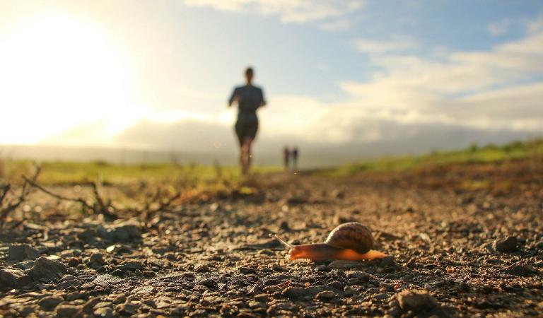 De Helderse Vallei Trail