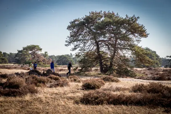 Struinen vanaf Schaarsbergen