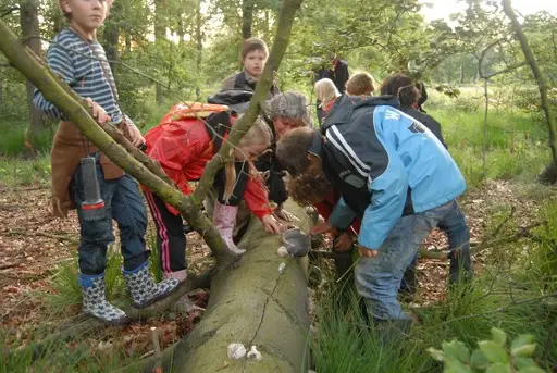 Herfstspeurtocht