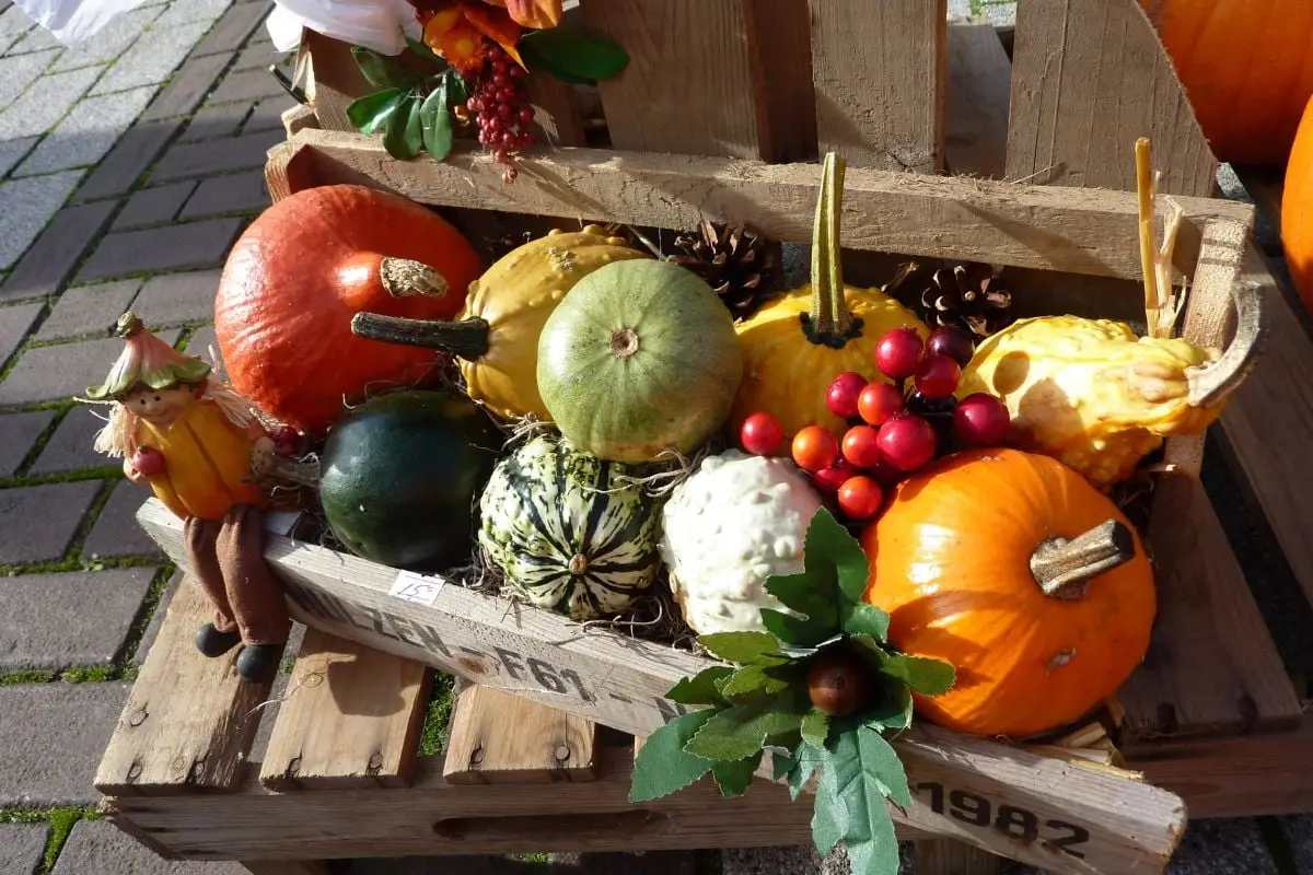 Herfstmarkt de Grote Modderkolk