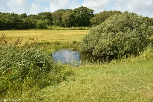 IVN lezing “Natuurlijk Noord Nederland”