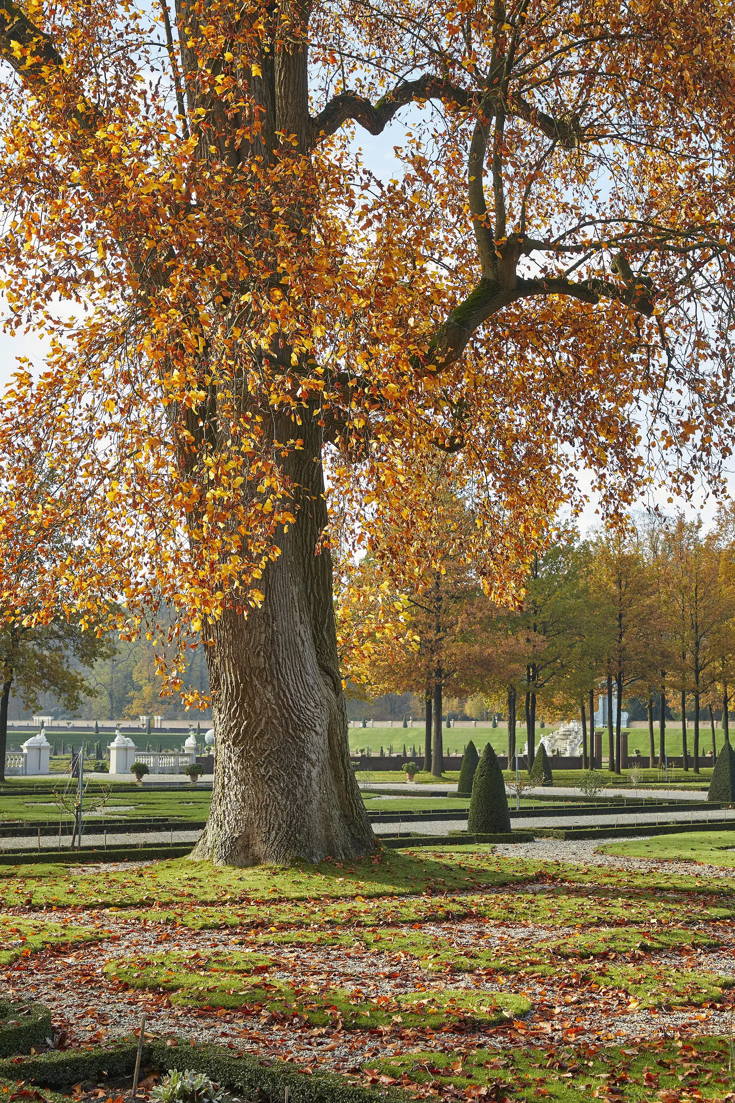 Herfstvakantie op Paleis Het Loo