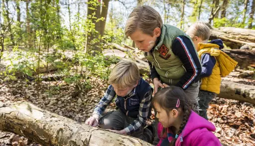 Kinderactiviteit: herfstspeurtocht