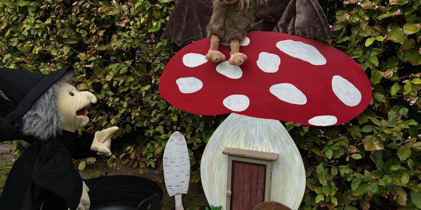 Educatieve herfstwandeling in de Hoeptuin