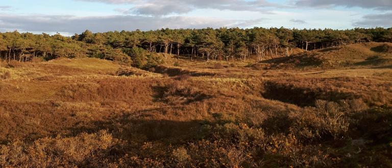 De Nacht van de Nacht – Avondwandeling in de Noordduinen