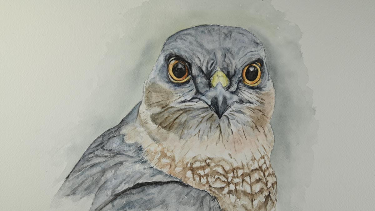 Expositie in Buitencentrum Schoorlse Duinen