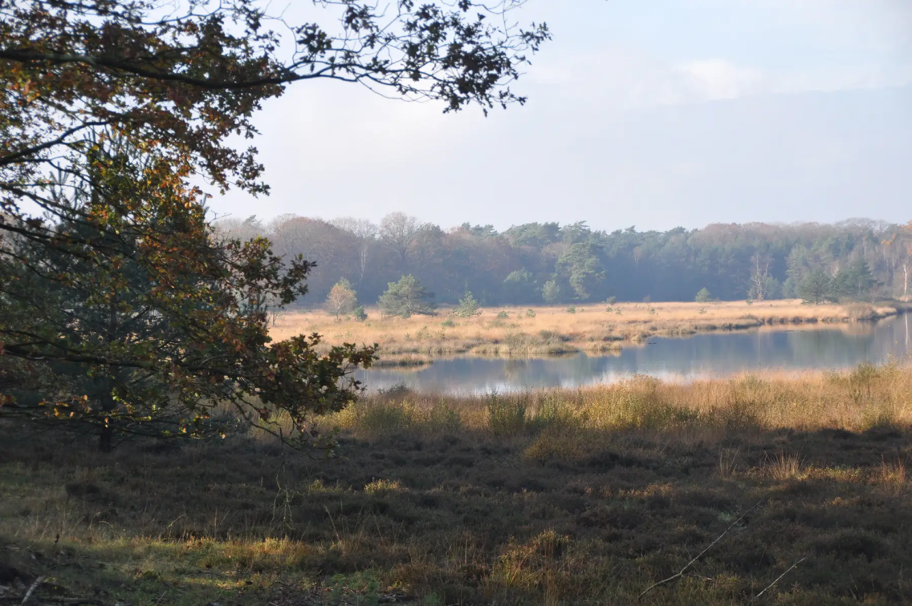 Kootwijker Veen- en Zandtocht