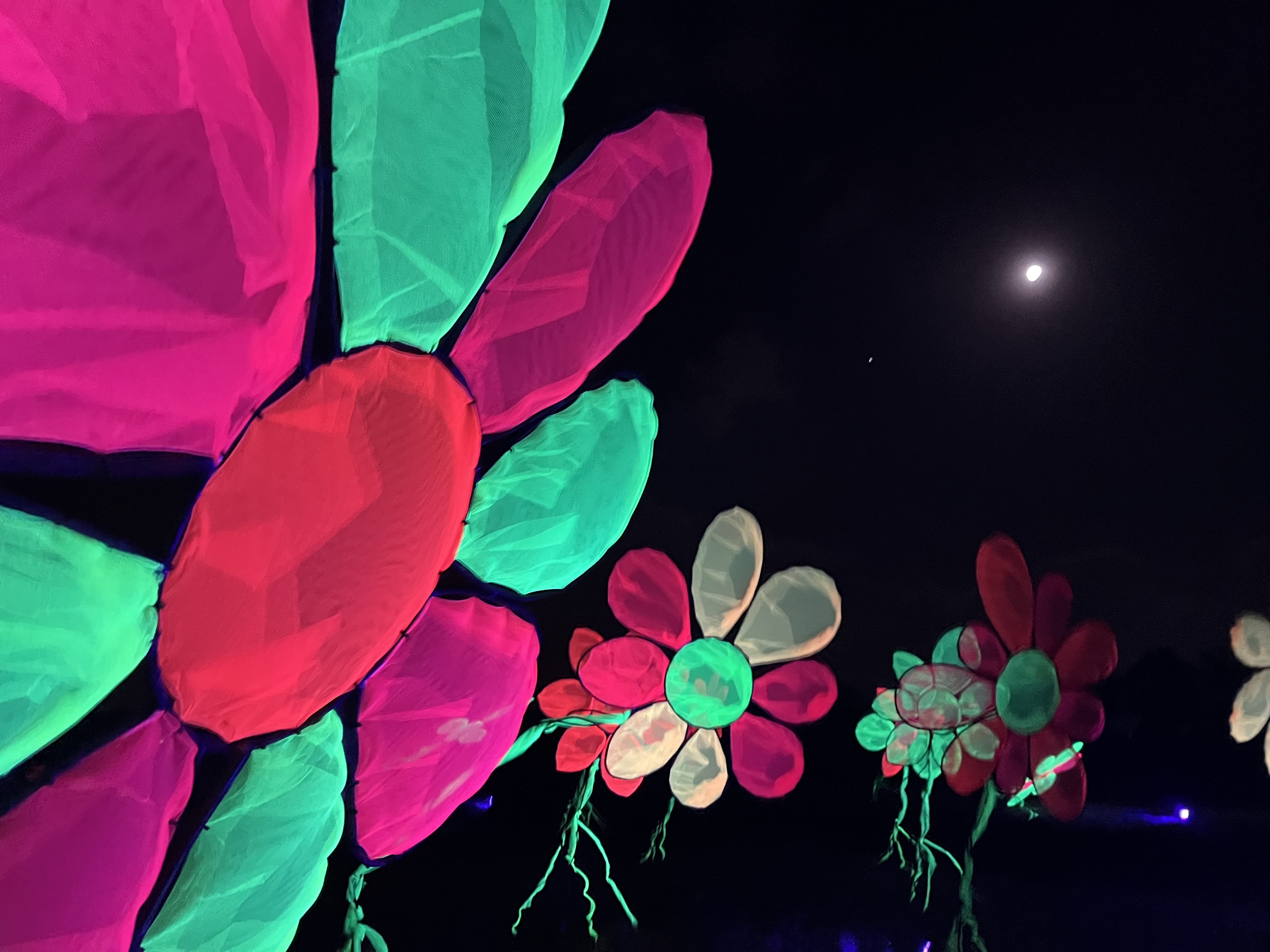 Kunst en Lichtjespad