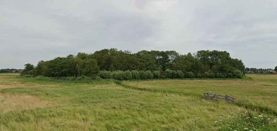 Eendenkooi Van der Eng