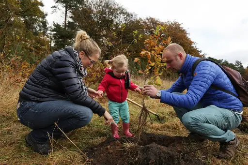 Boomplantdag Reeënberg: plant jouw boom met jouw verhaal