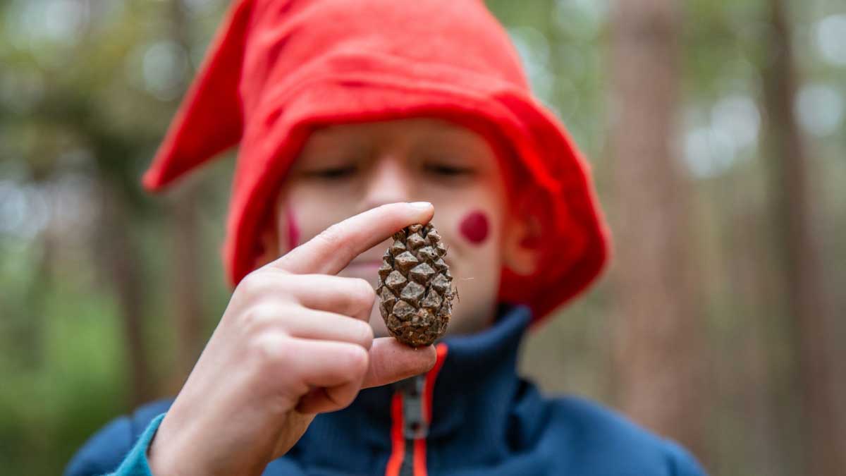 Kabouterpad Schoorlse Duinen