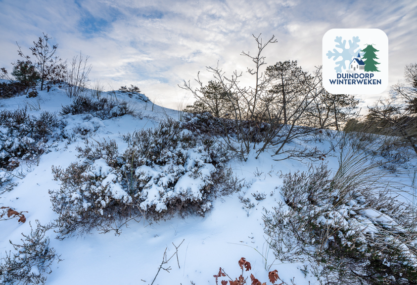 Stiltewandeling Schoorlse Duinen