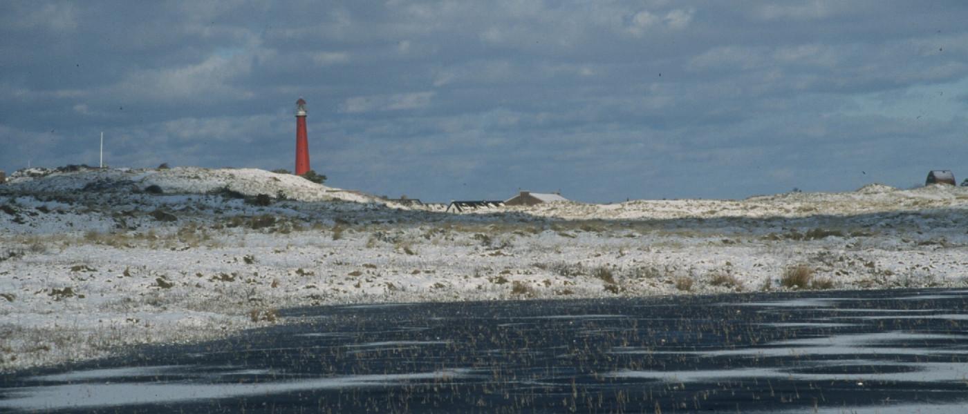 Winterwandeling door de Grafelijkheidsduinen bij Den Helder