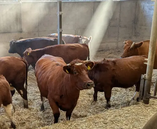 Rondleiding op Herenboerderij De Groote Modderkolk