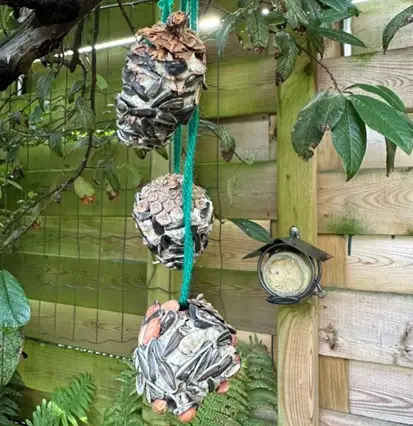 Vogelsnacks maken op ’t Leesten