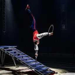 Wintercircus Apeldoorn