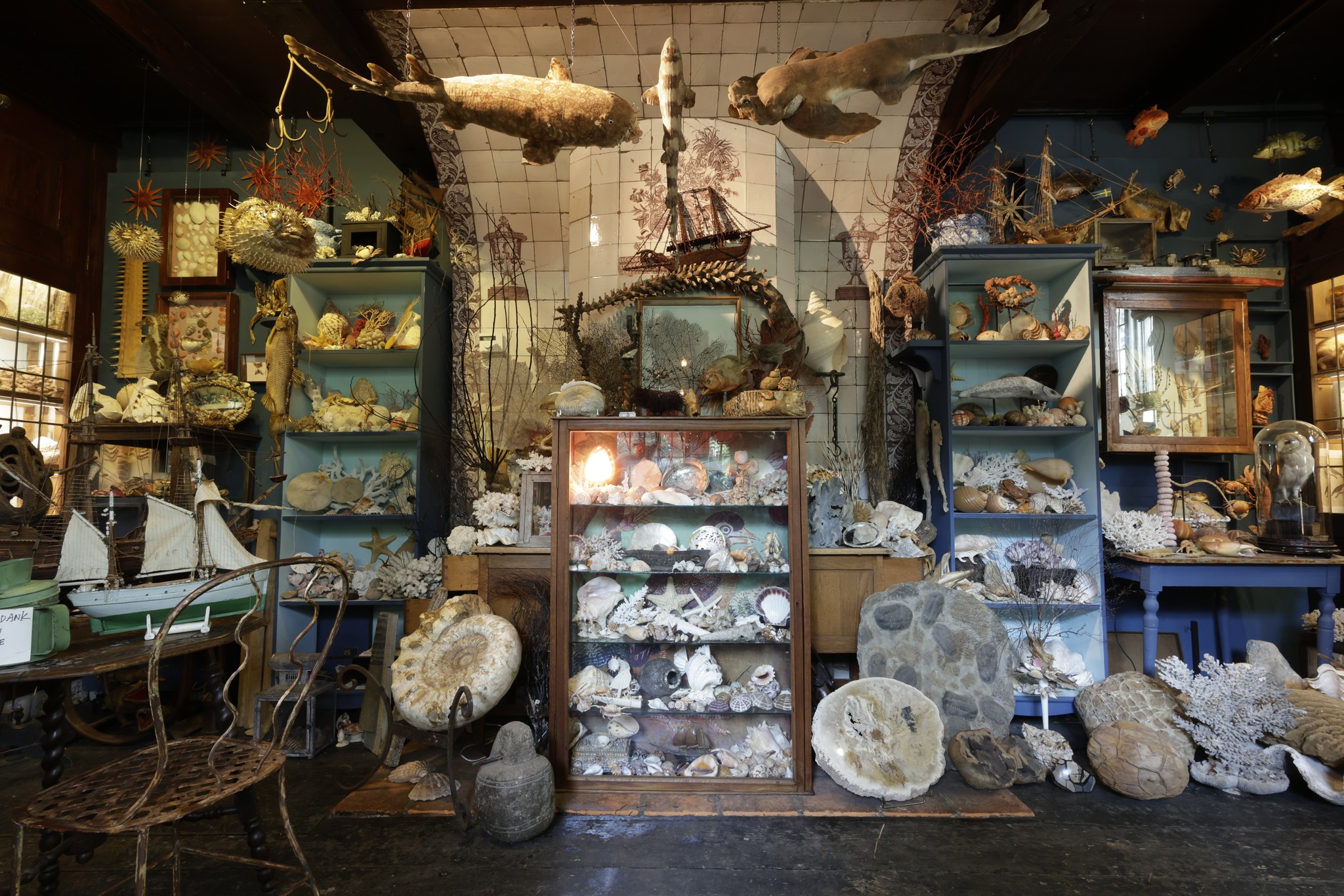 Wunderkammer Verwondering 1601